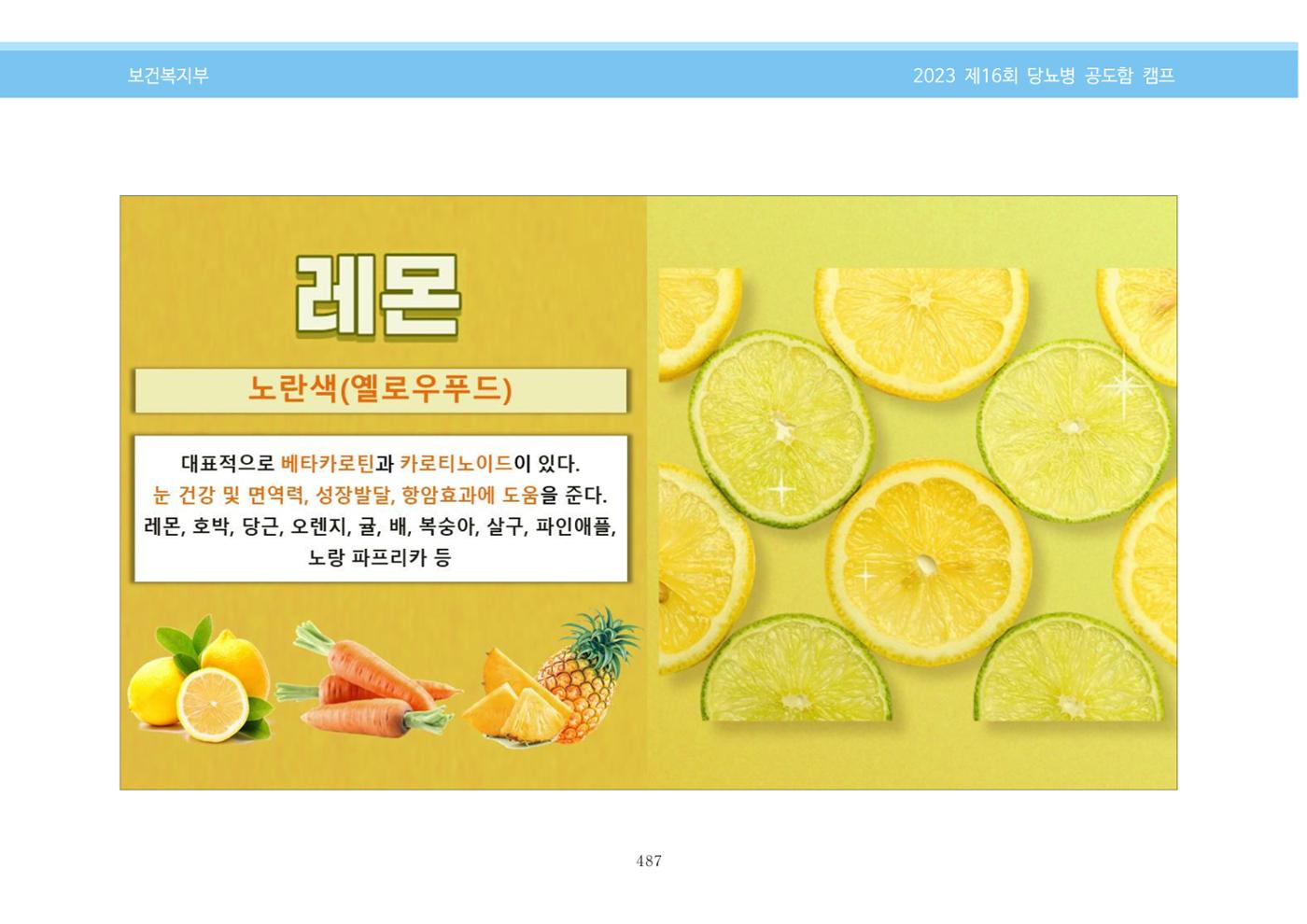 한국소아당뇨인협회 16회 공도함 캠프 E북 자료집 487페이지