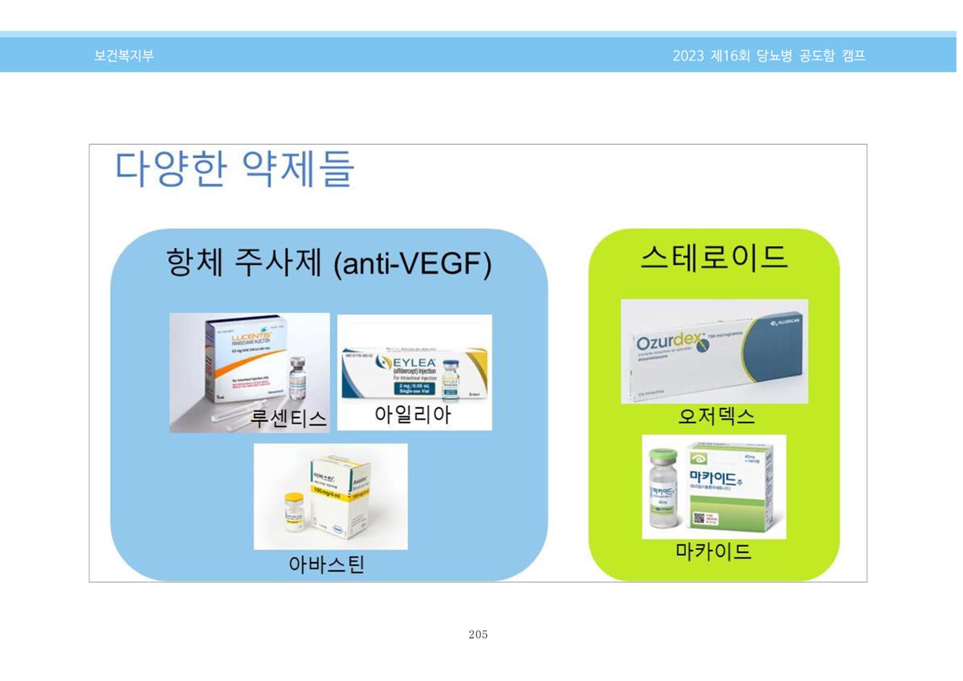 한국소아당뇨인협회 16회 공도함 캠프 E북 자료집 205페이지