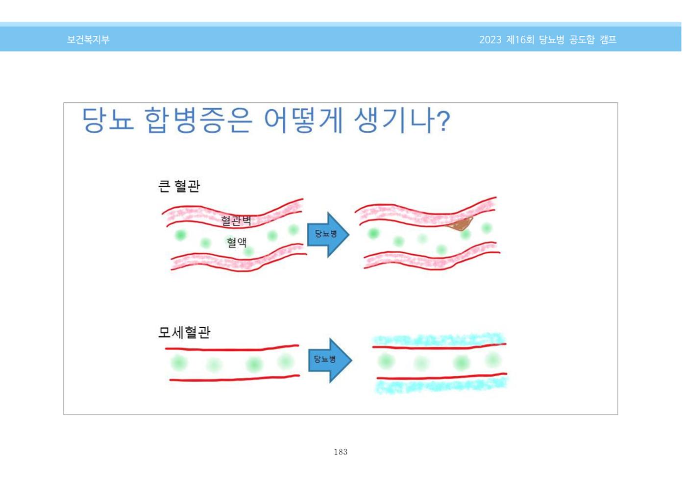 한국소아당뇨인협회 16회 공도함 캠프 E북 자료집 183페이지