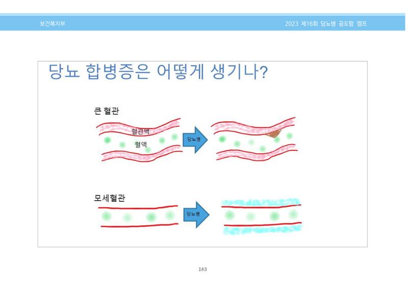 한국소아당뇨인협회 16회 공도함 캠프 E북 자료집 183페이지