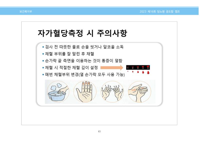 한국소아당뇨인협회 16회 공도함 캠프 E북 자료집 45페이지