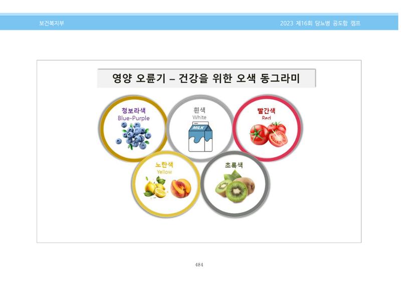 한국소아당뇨인협회 16회 공도함 캠프 E북 자료집 484페이지