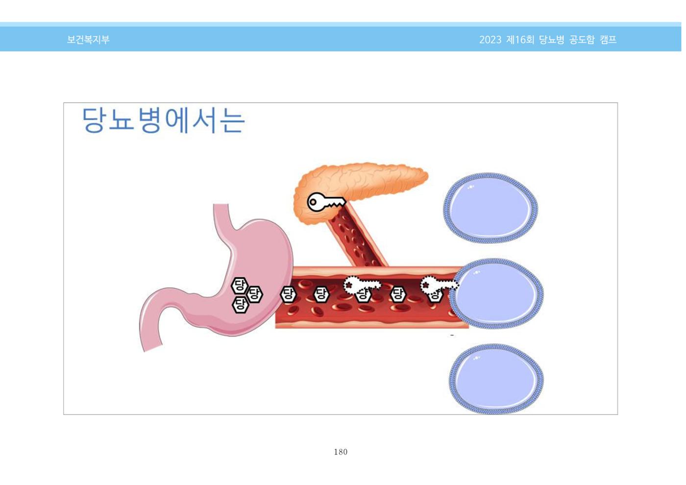 한국소아당뇨인협회 16회 공도함 캠프 E북 자료집 180페이지