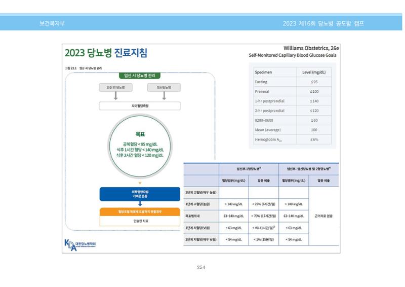 한국소아당뇨인협회 16회 공도함 캠프 E북 자료집 254페이지