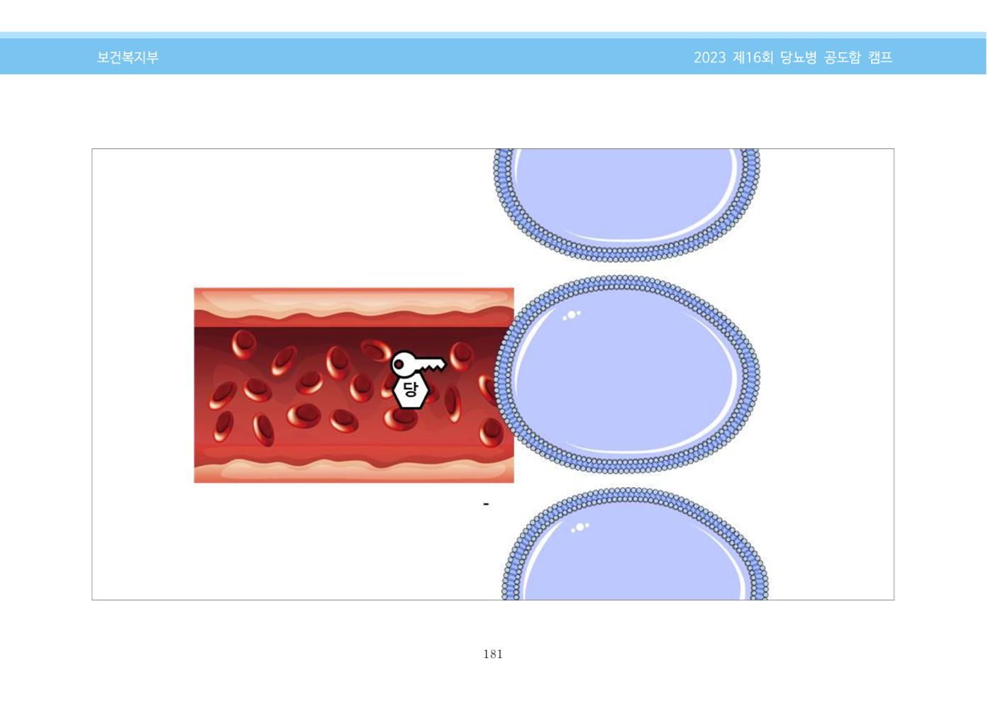 한국소아당뇨인협회 16회 공도함 캠프 E북 자료집 181페이지
