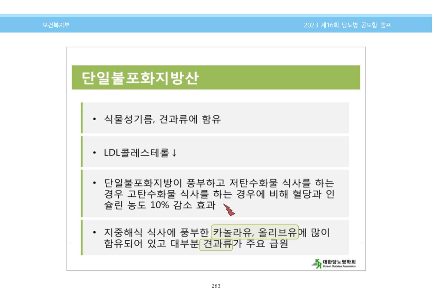 한국소아당뇨인협회 16회 공도함 캠프 E북 자료집 283페이지