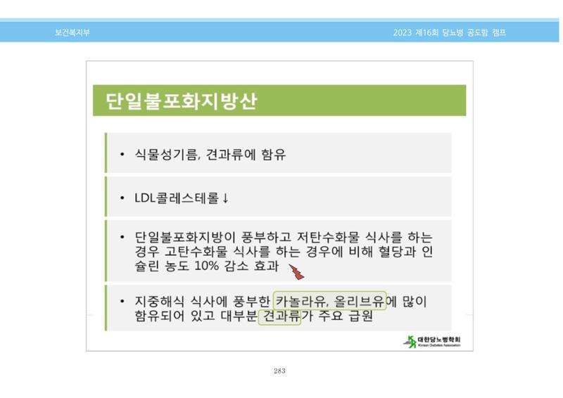 한국소아당뇨인협회 16회 공도함 캠프 E북 자료집 283페이지
