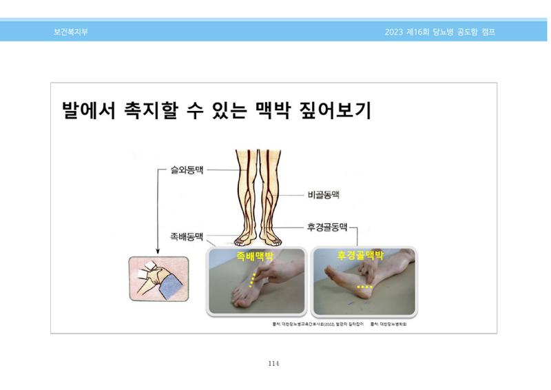 한국소아당뇨인협회 16회 공도함 캠프 E북 자료집 114페이지