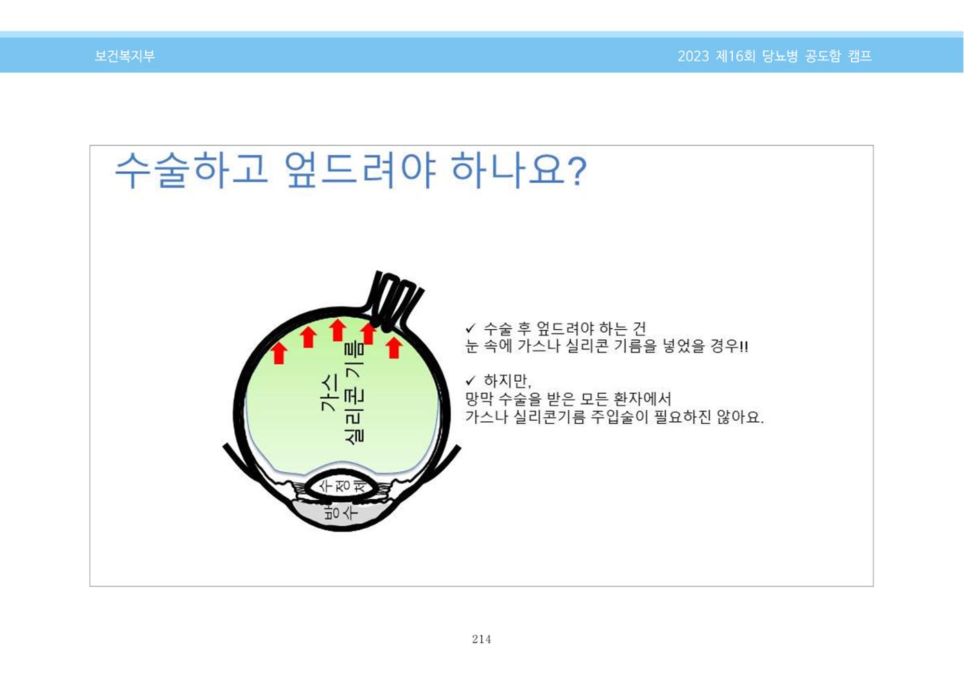 한국소아당뇨인협회 16회 공도함 캠프 E북 자료집 214페이지