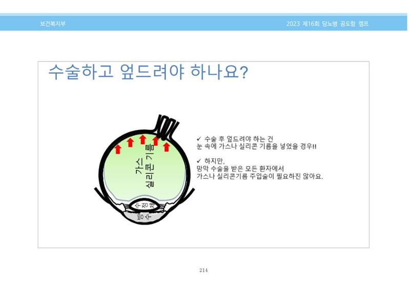 한국소아당뇨인협회 16회 공도함 캠프 E북 자료집 214페이지