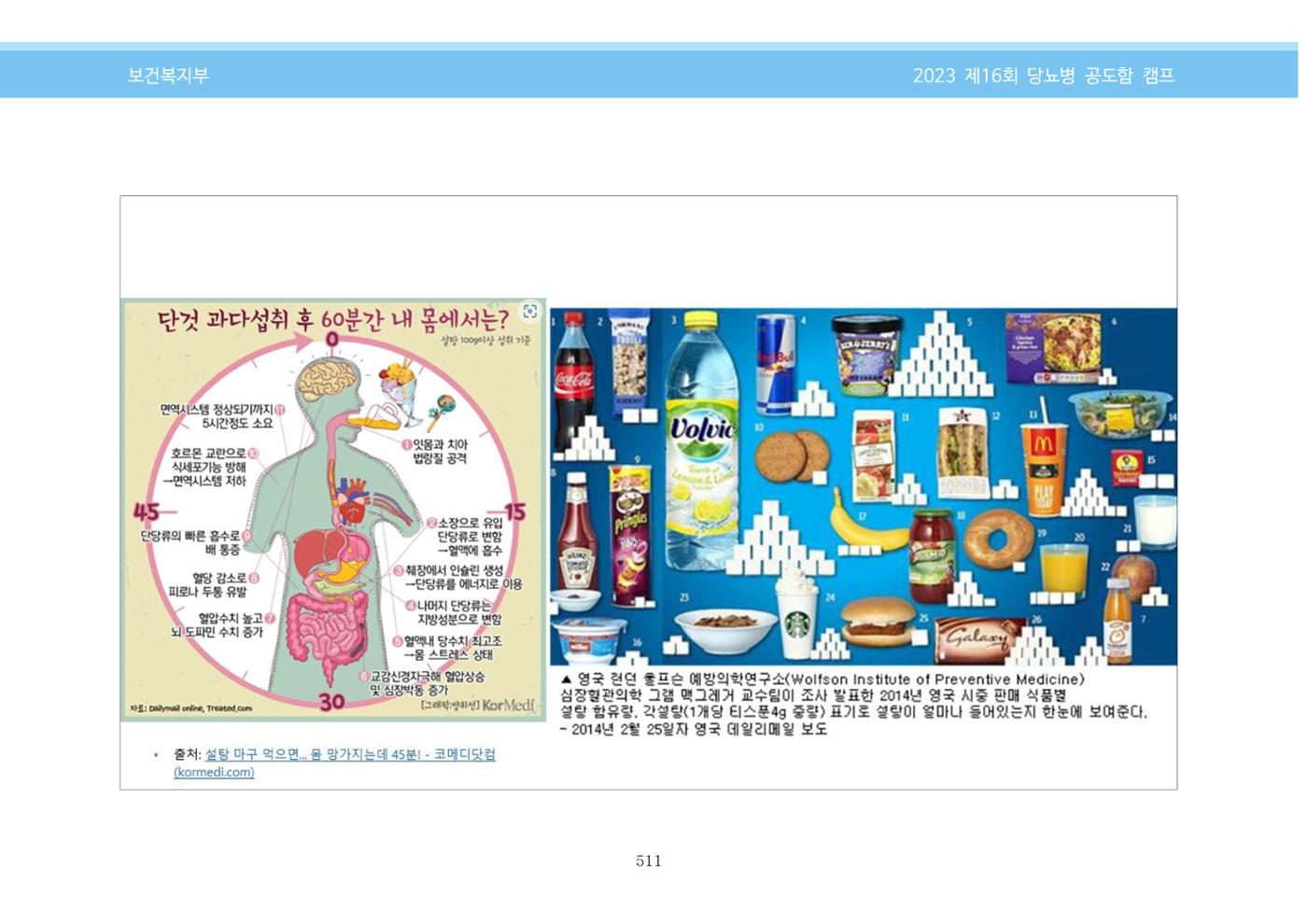 한국소아당뇨인협회 16회 공도함 캠프 E북 자료집 511페이지