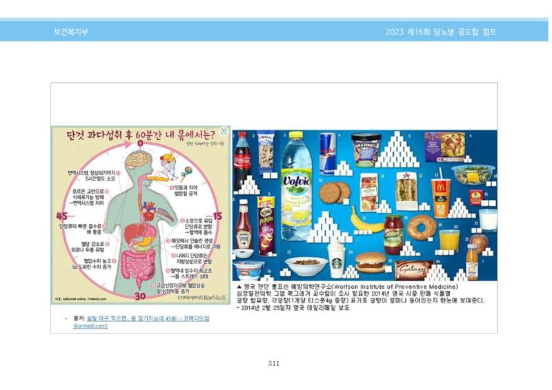 한국소아당뇨인협회 16회 공도함 캠프 E북 자료집 511페이지
