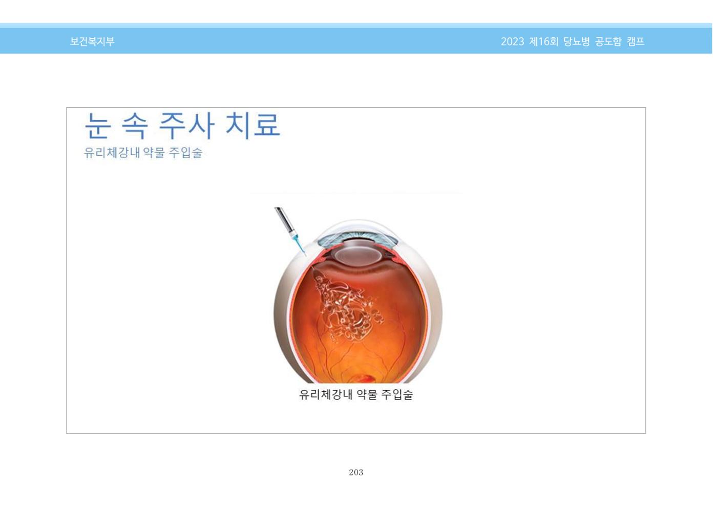 한국소아당뇨인협회 16회 공도함 캠프 E북 자료집 203페이지
