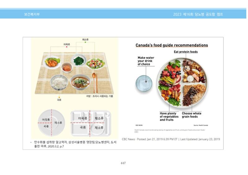 한국소아당뇨인협회 16회 공도함 캠프 E북 자료집 447페이지