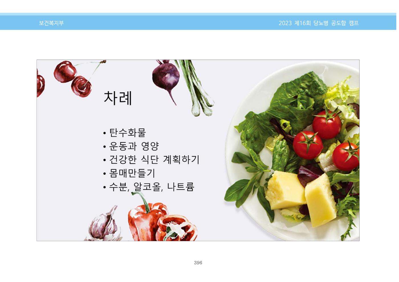 한국소아당뇨인협회 16회 공도함 캠프 E북 자료집 396페이지