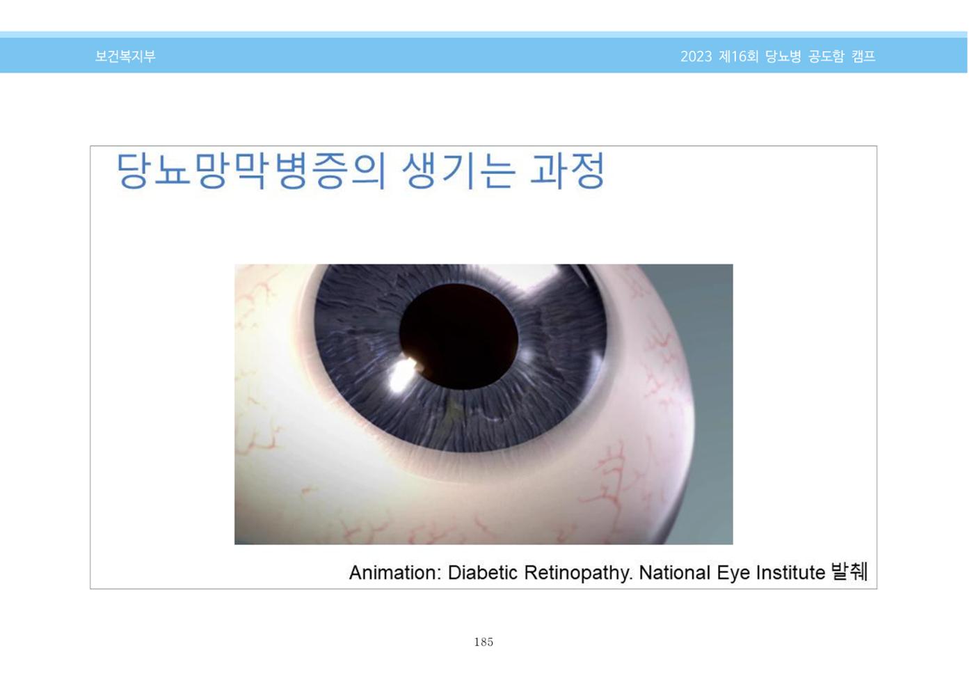 한국소아당뇨인협회 16회 공도함 캠프 E북 자료집 185페이지