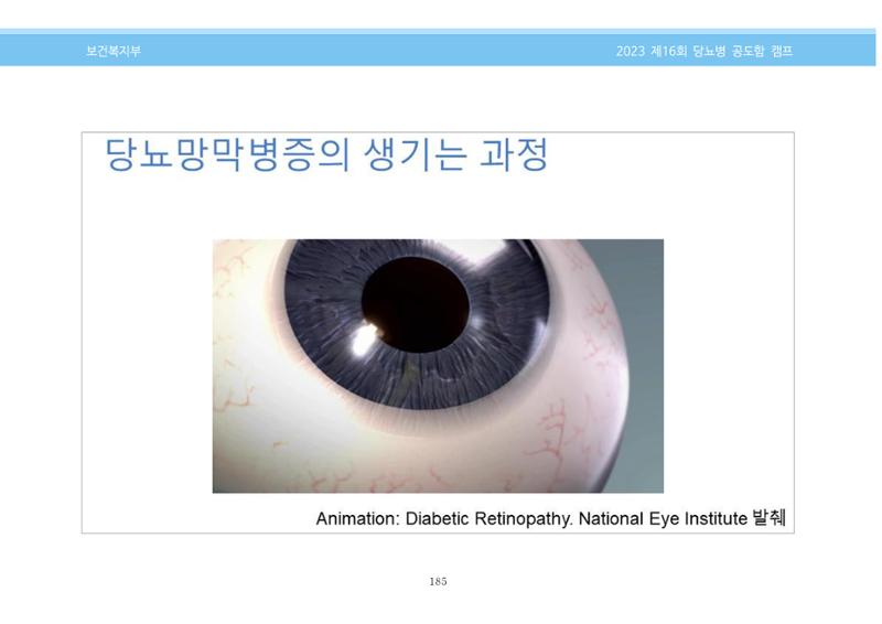 한국소아당뇨인협회 16회 공도함 캠프 E북 자료집 185페이지