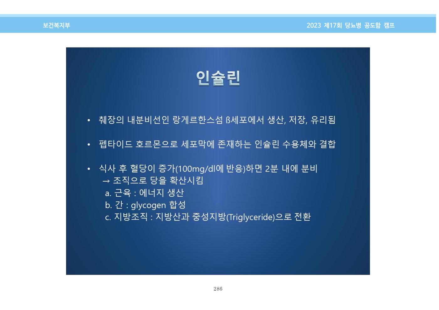 한국소아당뇨인협회 17회 공도함 캠프 E북 자료집 286페이지