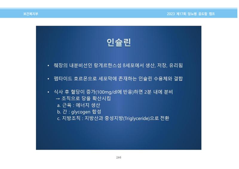 한국소아당뇨인협회 17회 공도함 캠프 E북 자료집 286페이지