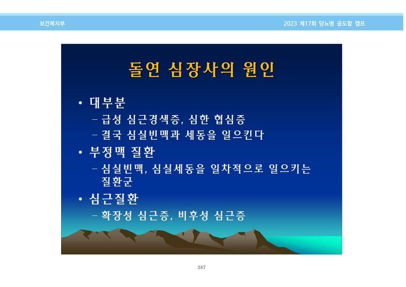 한국소아당뇨인협회 17회 공도함 캠프 E북 자료집 387페이지