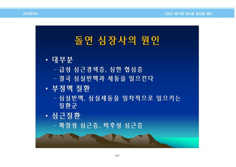 한국소아당뇨인협회 17회 공도함 캠프 E북 자료집 387페이지