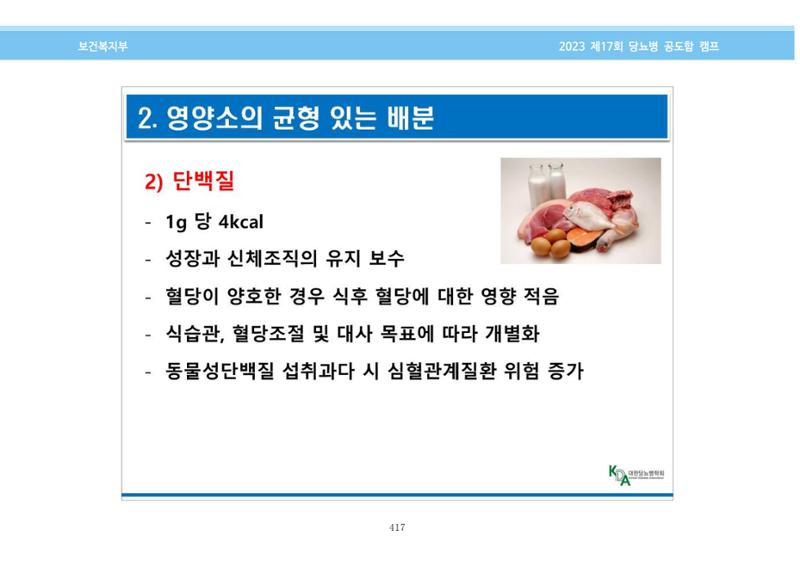 한국소아당뇨인협회 17회 공도함 캠프 E북 자료집 417페이지