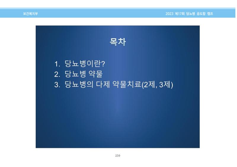 한국소아당뇨인협회 17회 공도함 캠프 E북 자료집 250페이지