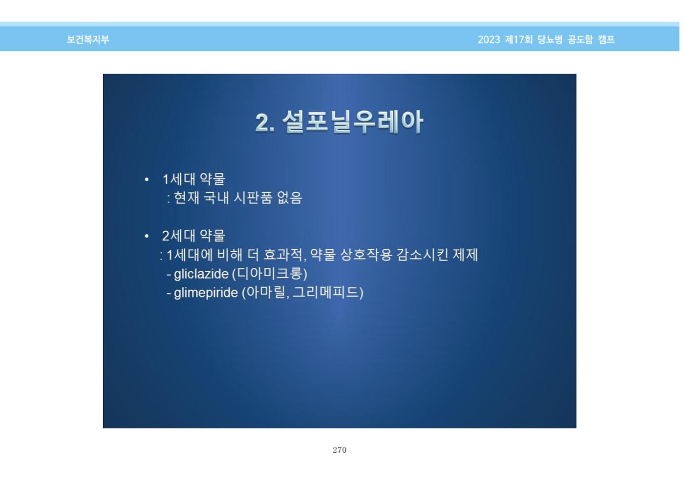 한국소아당뇨인협회 17회 공도함 캠프 E북 자료집 270페이지