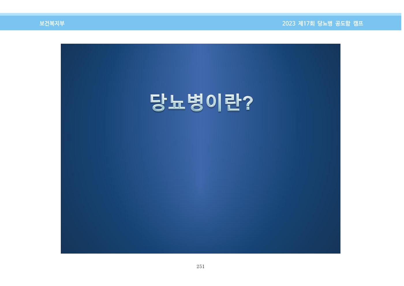 한국소아당뇨인협회 17회 공도함 캠프 E북 자료집 251페이지