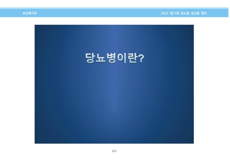 한국소아당뇨인협회 17회 공도함 캠프 E북 자료집 251페이지