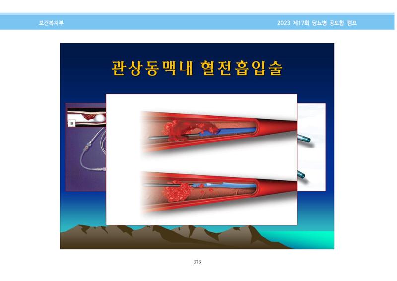 한국소아당뇨인협회 17회 공도함 캠프 E북 자료집 373페이지