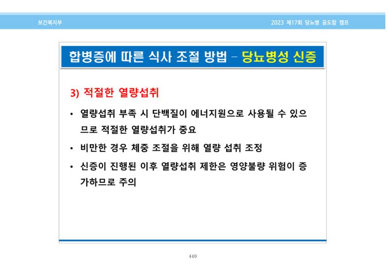 한국소아당뇨인협회 17회 공도함 캠프 E북 자료집 440페이지