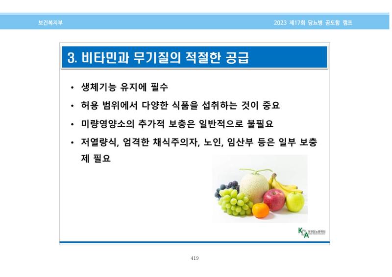 한국소아당뇨인협회 17회 공도함 캠프 E북 자료집 419페이지