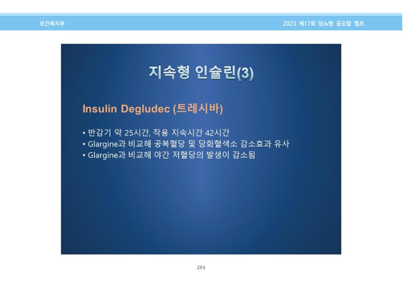 한국소아당뇨인협회 17회 공도함 캠프 E북 자료집 294페이지