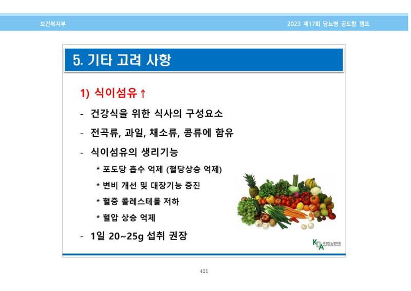 한국소아당뇨인협회 17회 공도함 캠프 E북 자료집 421페이지