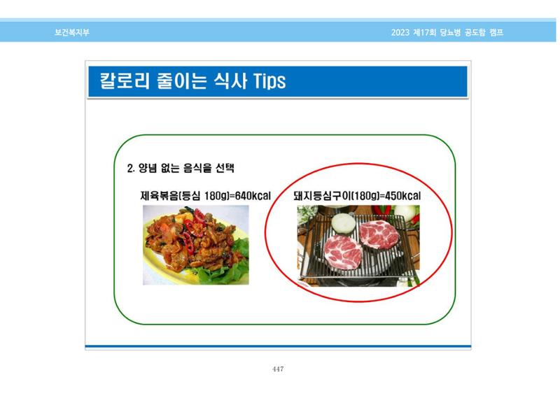 한국소아당뇨인협회 17회 공도함 캠프 E북 자료집 447페이지