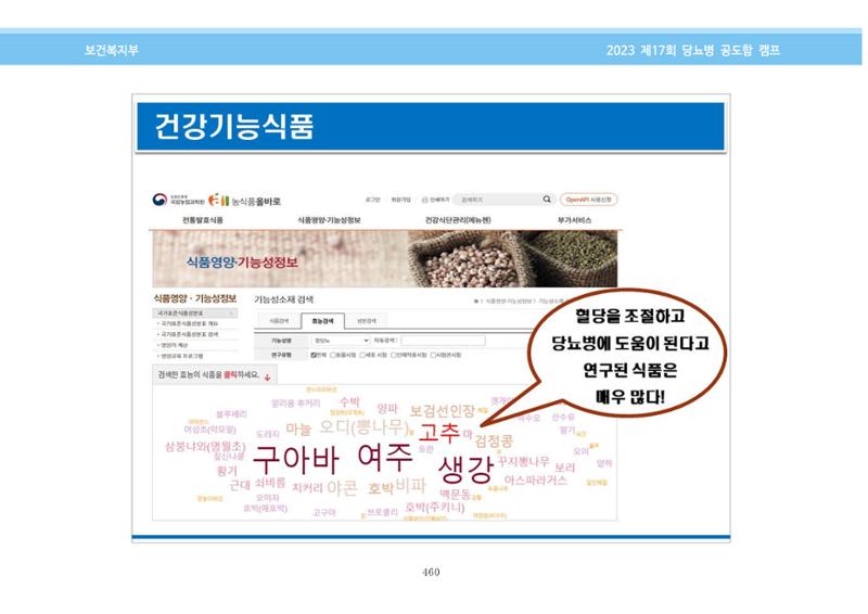 한국소아당뇨인협회 17회 공도함 캠프 E북 자료집 460페이지