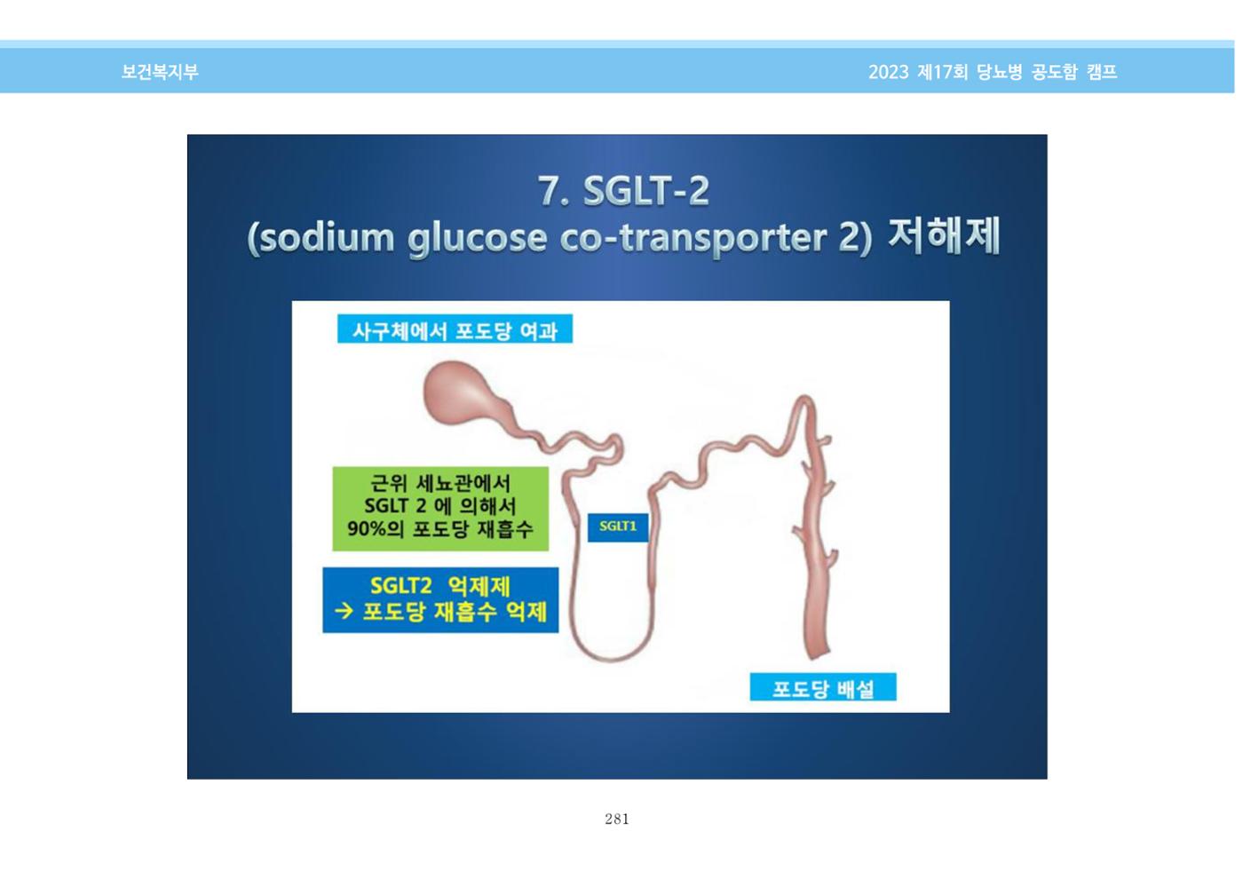 한국소아당뇨인협회 17회 공도함 캠프 E북 자료집 281페이지