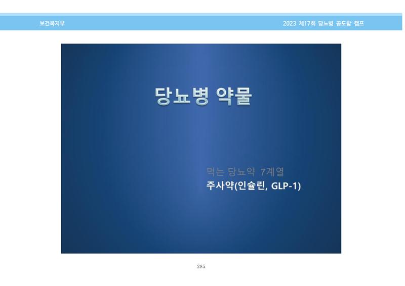 한국소아당뇨인협회 17회 공도함 캠프 E북 자료집 285페이지