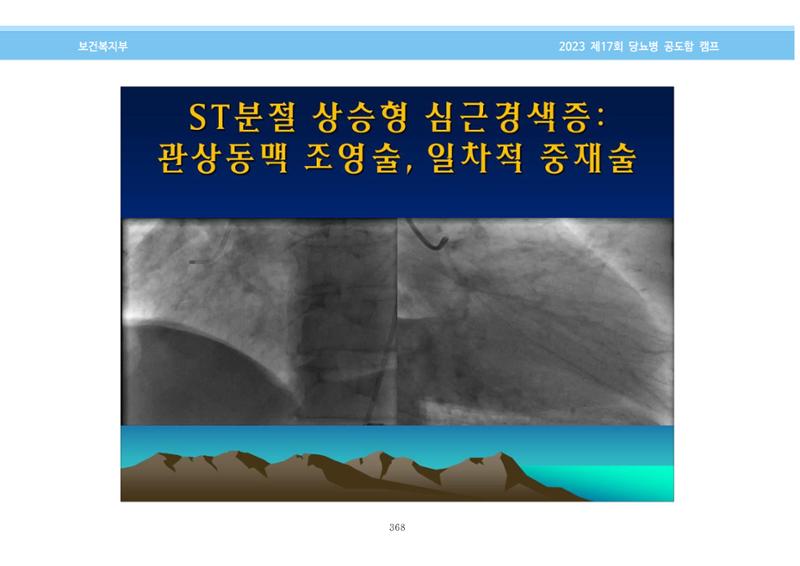 한국소아당뇨인협회 17회 공도함 캠프 E북 자료집 368페이지