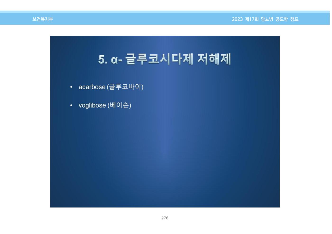 한국소아당뇨인협회 17회 공도함 캠프 E북 자료집 276페이지