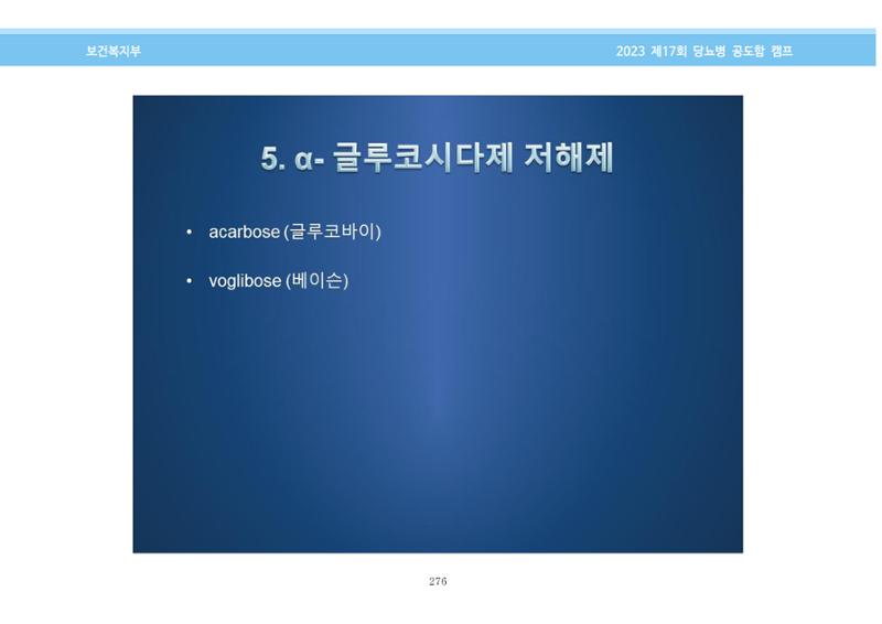 한국소아당뇨인협회 17회 공도함 캠프 E북 자료집 276페이지