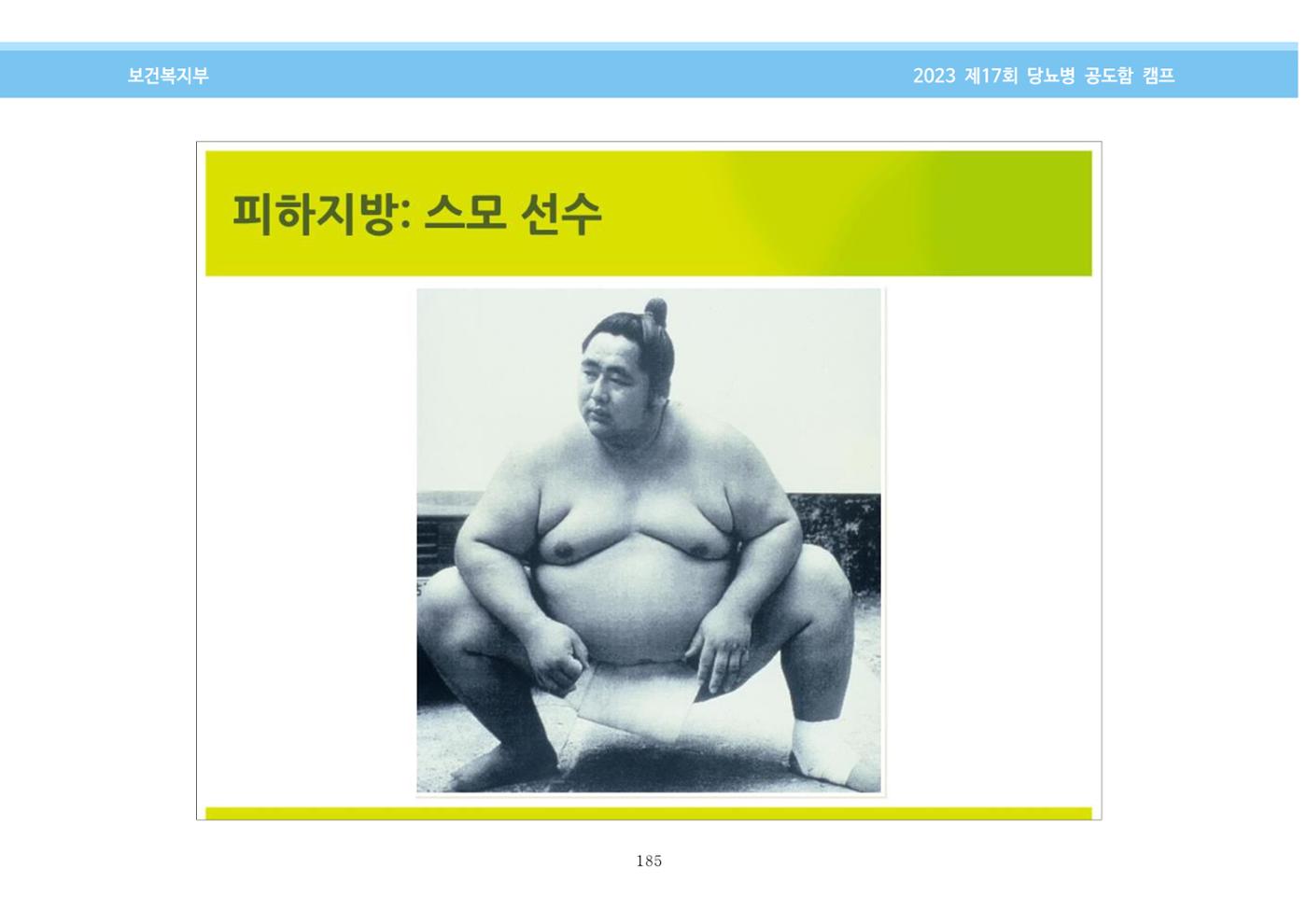 한국소아당뇨인협회 17회 공도함 캠프 E북 자료집 185페이지