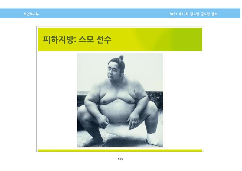 한국소아당뇨인협회 17회 공도함 캠프 E북 자료집 185페이지
