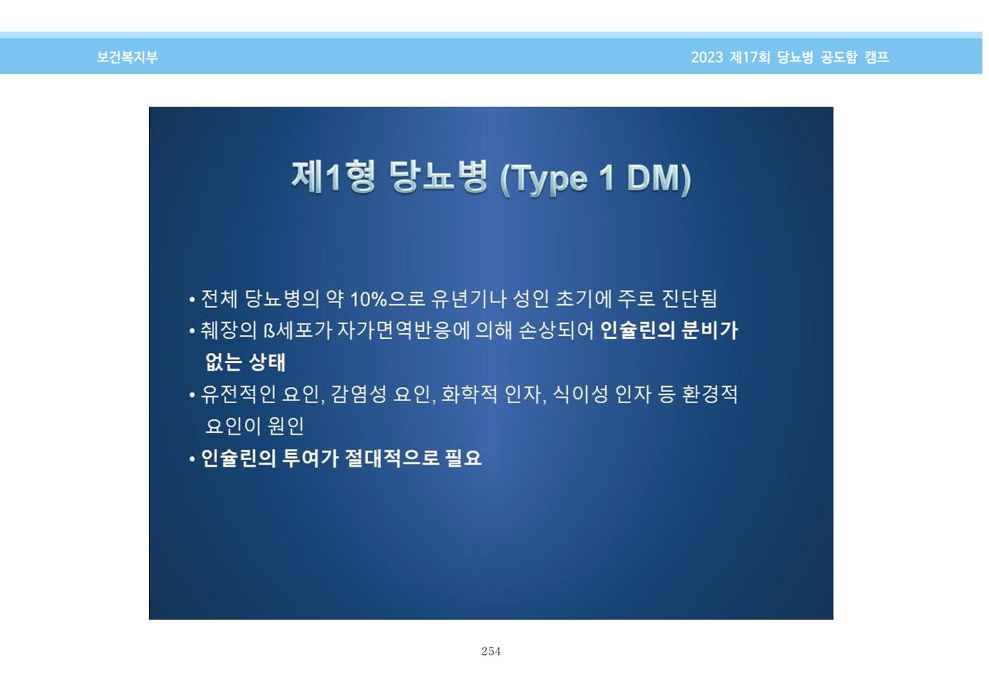 한국소아당뇨인협회 17회 공도함 캠프 E북 자료집 254페이지