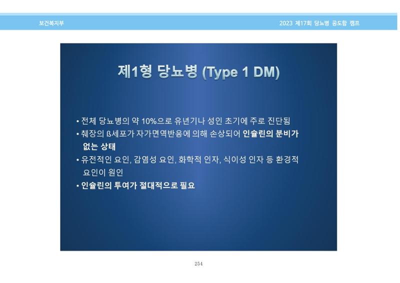 한국소아당뇨인협회 17회 공도함 캠프 E북 자료집 254페이지