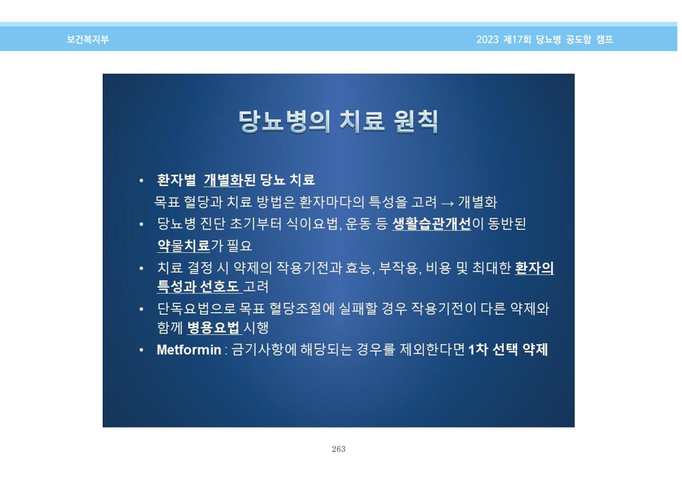 한국소아당뇨인협회 17회 공도함 캠프 E북 자료집 263페이지