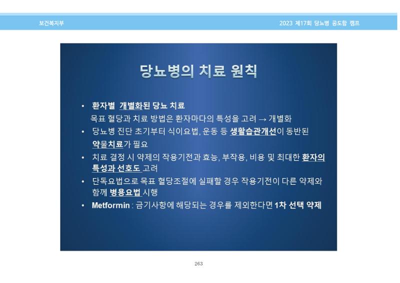 한국소아당뇨인협회 17회 공도함 캠프 E북 자료집 263페이지
