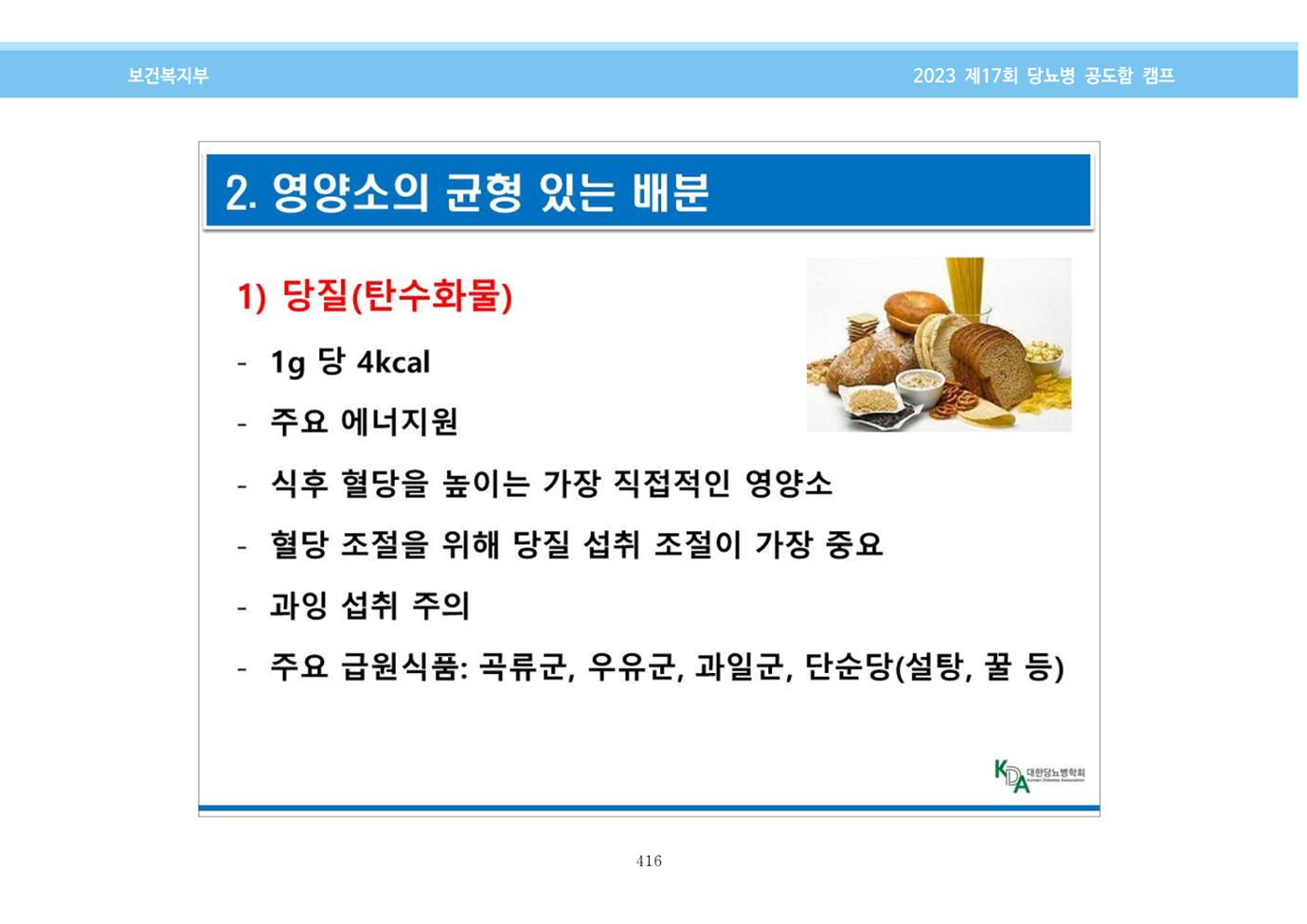 한국소아당뇨인협회 17회 공도함 캠프 E북 자료집 416페이지
