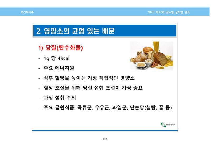 한국소아당뇨인협회 17회 공도함 캠프 E북 자료집 416페이지